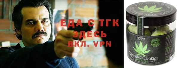 стафф Арсеньев